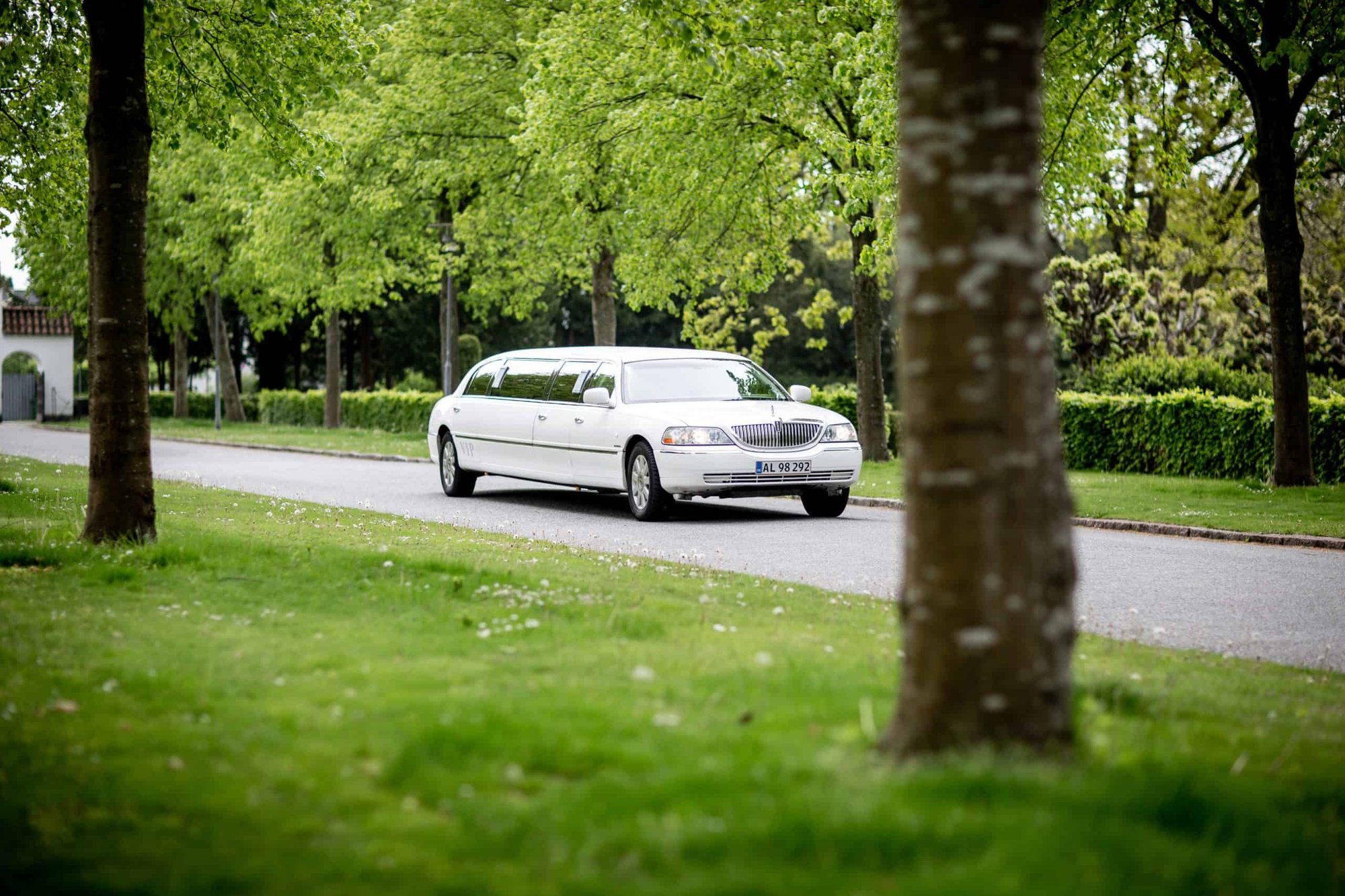 white-limousine-driving-on-road-2504936-scaled-1
